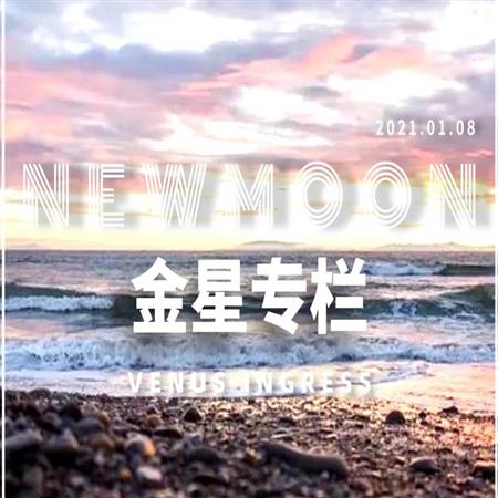 金星入摩羯，12上升爱的柔软，都在现实的坚硬里（附指南）