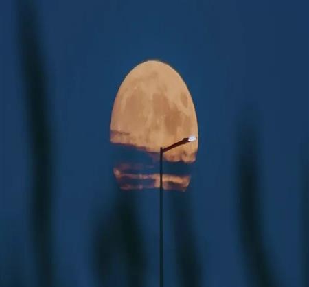 2023年唯一日全环食！未来6个月，12星座如何冲破迷雾，满血复活？（附天象建议）
