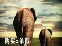 吃素你就灵(下):素食&极乐天堂